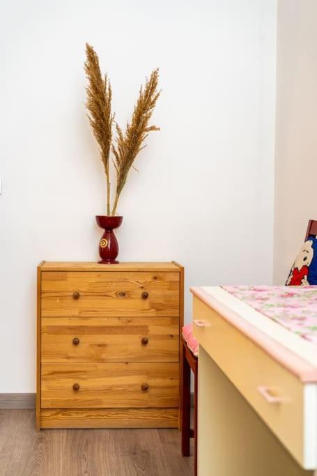 Guesthouse Pet'S Friendly Quattromiglio Esterno foto